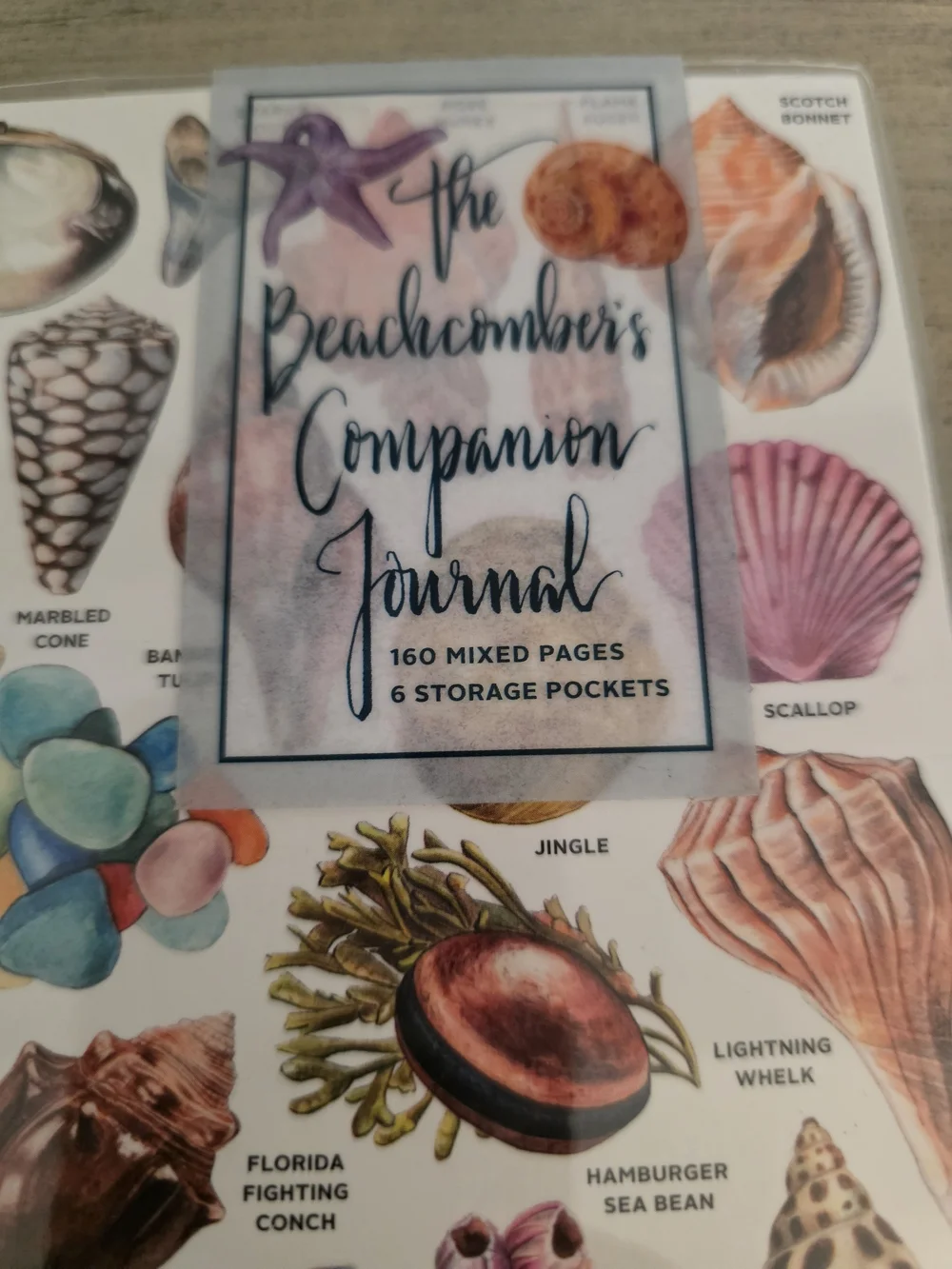 Shell & Sea Life Journal With Vinyl Cover